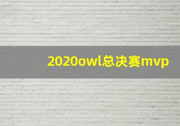 2020owl总决赛mvp