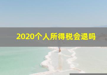 2020个人所得税会退吗