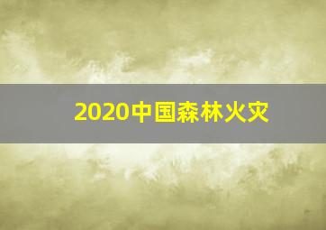 2020中国森林火灾