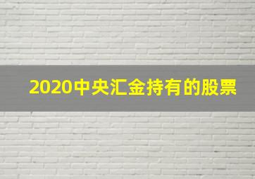 2020中央汇金持有的股票