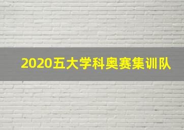 2020五大学科奥赛集训队