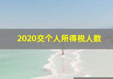 2020交个人所得税人数