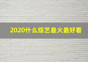 2020什么综艺最火最好看