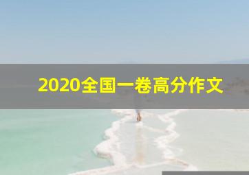 2020全国一卷高分作文