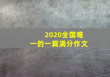 2020全国唯一的一篇满分作文