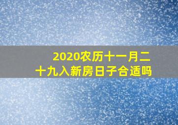 2020农历十一月二十九入新房日子合适吗