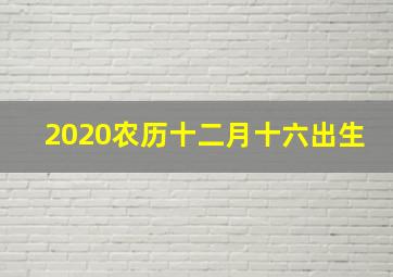 2020农历十二月十六出生