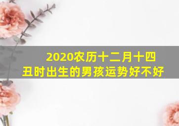 2020农历十二月十四丑时出生的男孩运势好不好