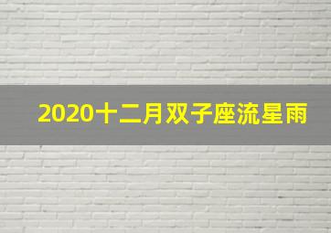 2020十二月双子座流星雨