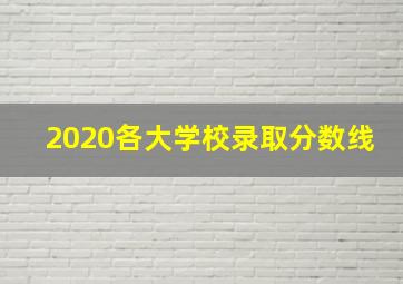 2020各大学校录取分数线