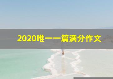 2020唯一一篇满分作文