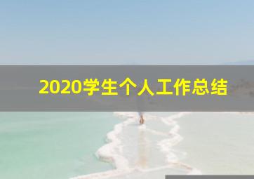 2020学生个人工作总结