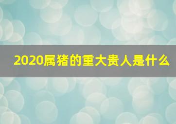 2020属猪的重大贵人是什么