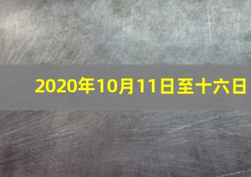 2020年10月11日至十六日