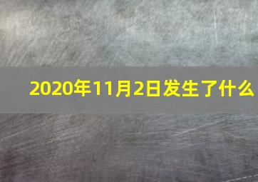 2020年11月2日发生了什么