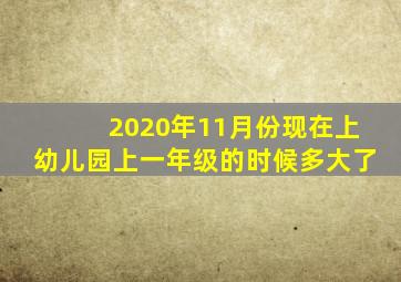 2020年11月份现在上幼儿园上一年级的时候多大了