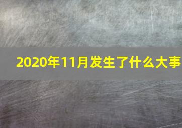 2020年11月发生了什么大事