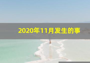 2020年11月发生的事