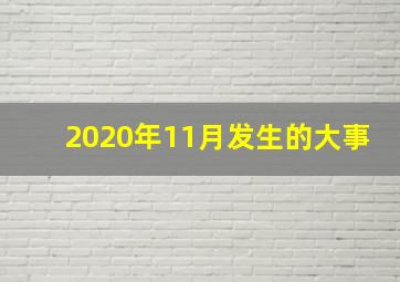 2020年11月发生的大事