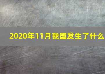 2020年11月我国发生了什么