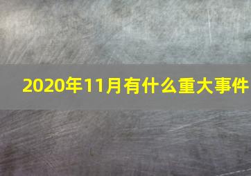 2020年11月有什么重大事件