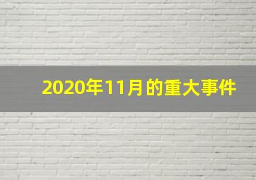 2020年11月的重大事件