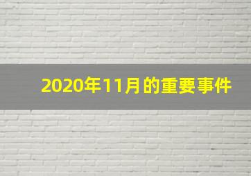 2020年11月的重要事件