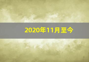 2020年11月至今