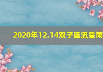 2020年12.14双子座流星雨