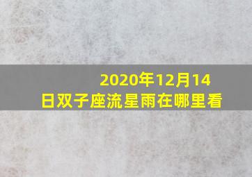 2020年12月14日双子座流星雨在哪里看