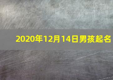 2020年12月14日男孩起名