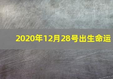 2020年12月28号出生命运