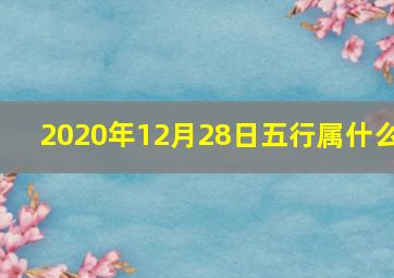 2020年12月28日五行属什么