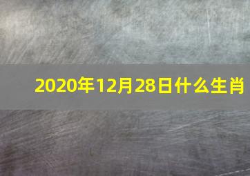 2020年12月28日什么生肖