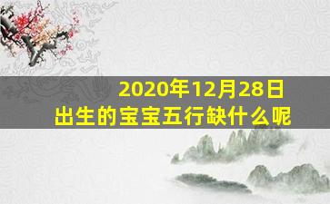 2020年12月28日出生的宝宝五行缺什么呢