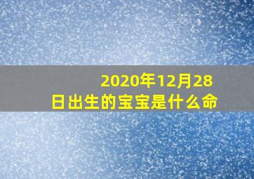 2020年12月28日出生的宝宝是什么命