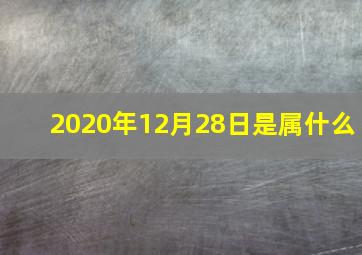 2020年12月28日是属什么