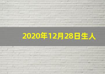 2020年12月28日生人