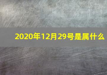 2020年12月29号是属什么