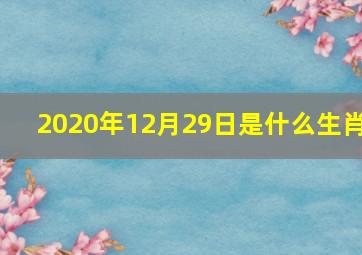 2020年12月29日是什么生肖