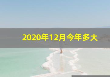 2020年12月今年多大