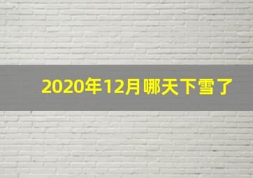 2020年12月哪天下雪了