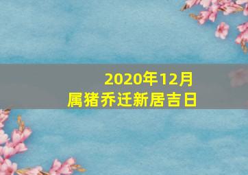 2020年12月属猪乔迁新居吉日