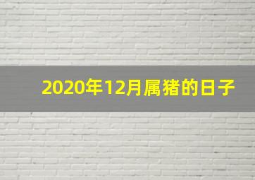 2020年12月属猪的日子