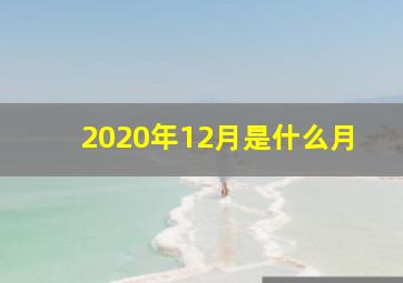 2020年12月是什么月