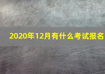 2020年12月有什么考试报名