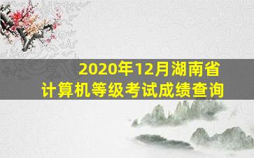 2020年12月湖南省计算机等级考试成绩查询