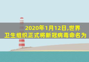 2020年1月12日,世界卫生组织正式将新冠病毒命名为