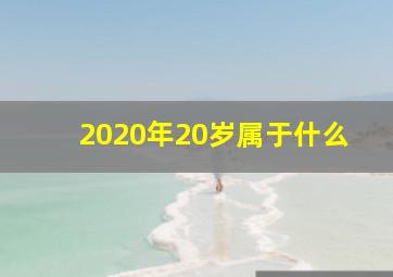 2020年20岁属于什么