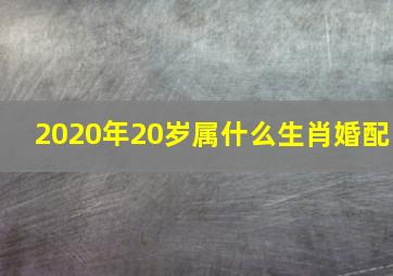 2020年20岁属什么生肖婚配